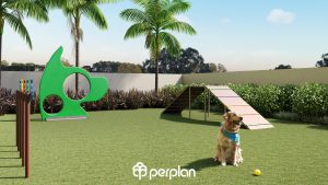 Férias em Família: O Que Você Precisa Saber para Viajar com Seu Pet