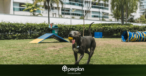 Pets ganham protagonismo e influenciam o mercado imobiliário brasileiro